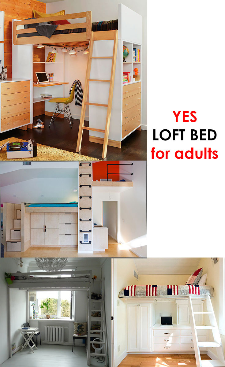 #Loft bed for young adults