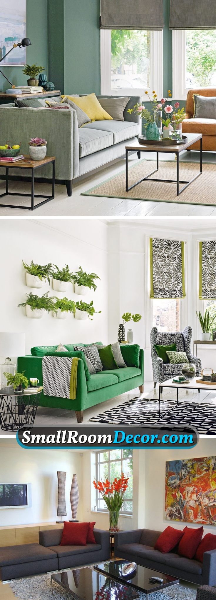 #plants in a #livingroom